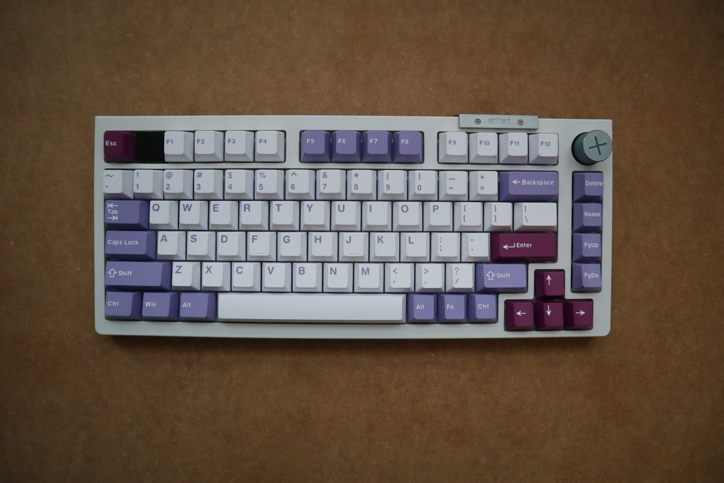 DARMOSHARK TOP75 PURPLE-WHITE OUTLET 0057