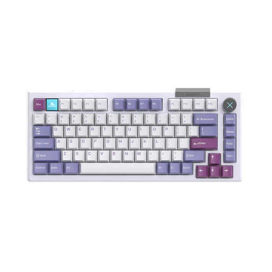 DARMOSHARK TOP75 PURPLE-WHITE OUTLET 0057